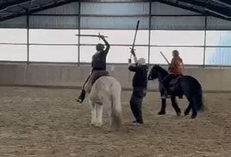 Mounted Combat