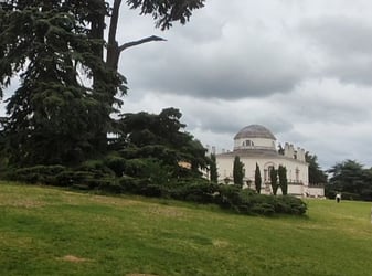 Chiswick House London with cedar tree