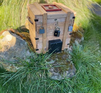 Escape box jungle