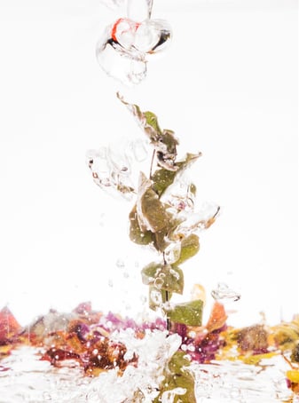 creative-composition-change-of-scale-dimension