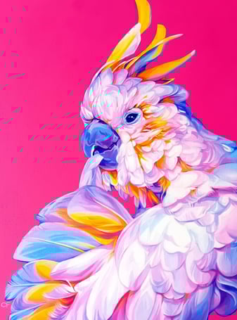 a painting of a cockatoo with bright tinted feathers on a bright pink background