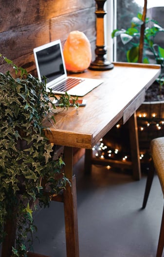 therapeutic workplace
