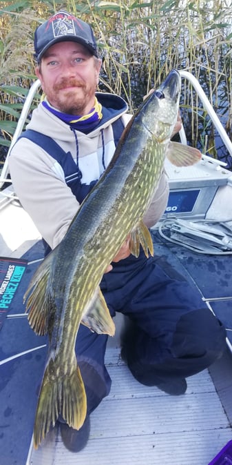 A fisherman sits in a fishing boat in Sweden, he holds a big pike thanks to fishing escape sweden.