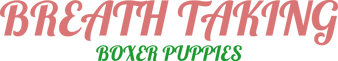 Boxer Puppies for sale logo