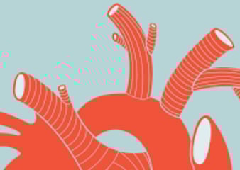 a healthy heart index reduces the risk of heart disease and stroke,