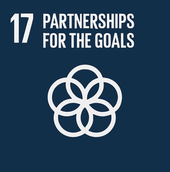 Partnership for the goals