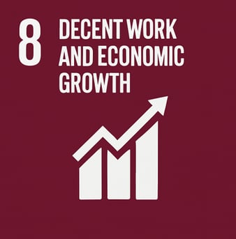 Decent work and Economic Growth