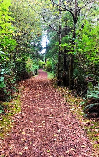 Oregon Coast - Shore Acres Park trail thru woods