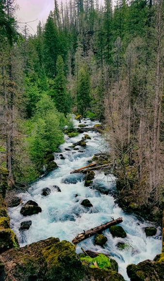 Yacolt, WA - pretty blue waters of the East Fork Lewis River by Moulton Falls