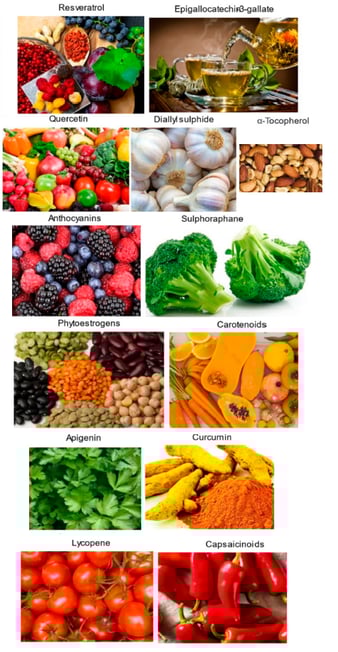 Alimentation pour se protéger du cancer