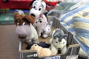 They want a new home