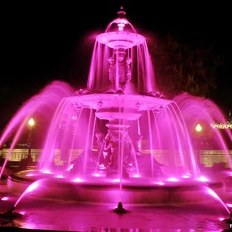 Fontaine de Tourny en rose.