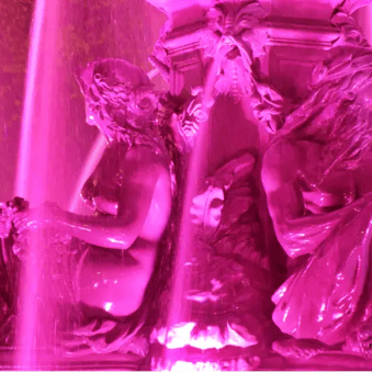 Fontaine de Tourny en rose.détail.