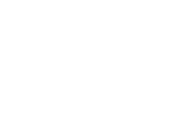 Ananas logo