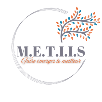 M.E.T.I.I.S logo