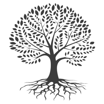 Dr Gabriel Braz logo