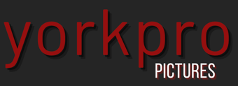 yorkpro logo