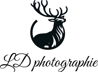 LD photographie logo