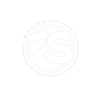 Grupo 2S logo