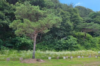 Mass grave at Golyong-gol