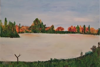 Couleurs automnales. 44x33cm. 120€