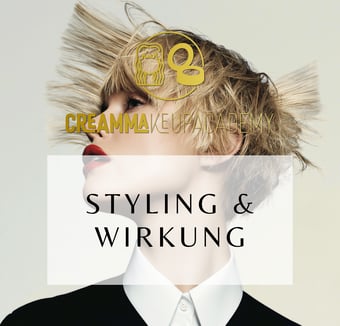 Styling und Wirkung Workshop Startbild