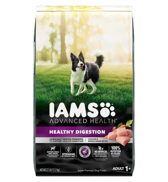 Dog Food for Diarrhea