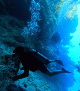 Scuba diver using a GoPro to capture underwater scenes with colorful fish at Lovina Reef, Bali