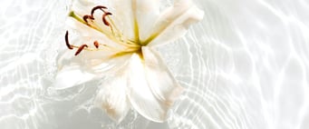 Cours de chant Héléna Demissie