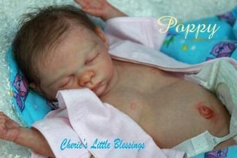 Poppy Vinyl Doll Kit