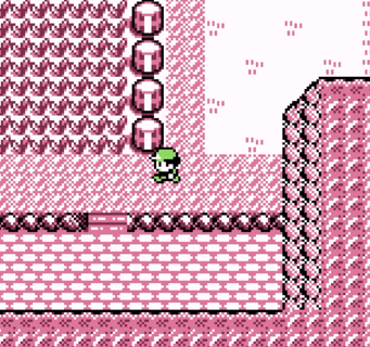 Pokemon on the Hunt