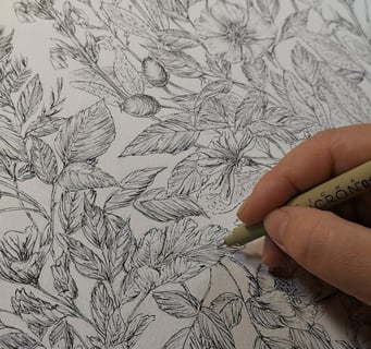 mano che disegna piante ad inchiostro