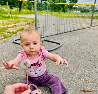 A baby girl sitting on the ground at Carrier Park after Hurricane Helene destruction and reaching out for a dandelion.
