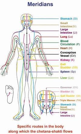 Meridians