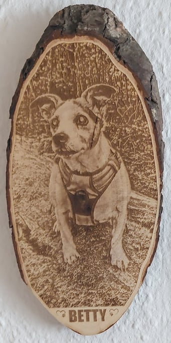 Holzscheibe mit einem Hundebild und Namen