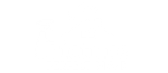 Picture Perfect Maid logo