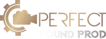 PERFECT SOUND PROD logo