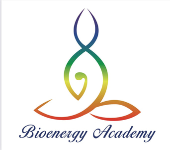 Bioenergy Prana logo