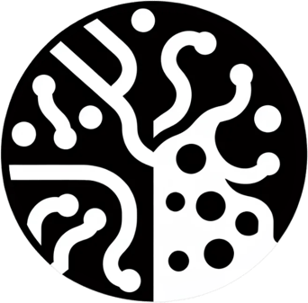 Cerebrasynapse logo