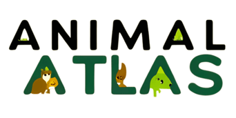 The Animal Atlas logo