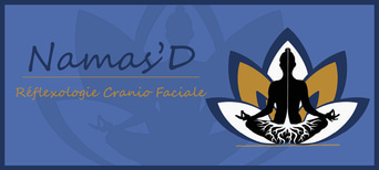 Namas'D logo