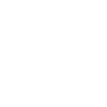 Ana Zurdo logo