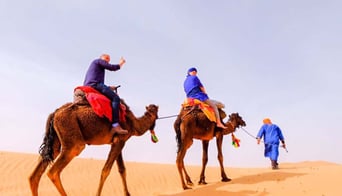 Walking with Nomads in  the Moroccan Sahara chigaga desert trekking 