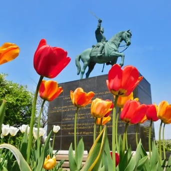 Monument équestre, tulipe, parc Amérique latine