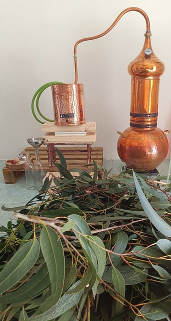 destilacao de plantas para extracao de oleos essenciais