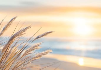 een strand met de zon op de achtergrond