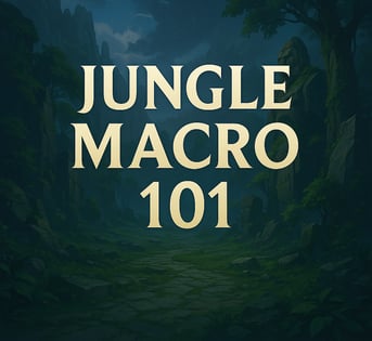 Jungle Macro Guide