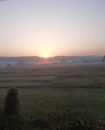 sunrise
