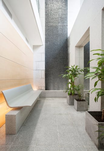 Modern clinic waiting area with natural light and indoor plants.