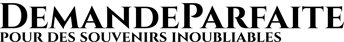 demandeparfaite logo